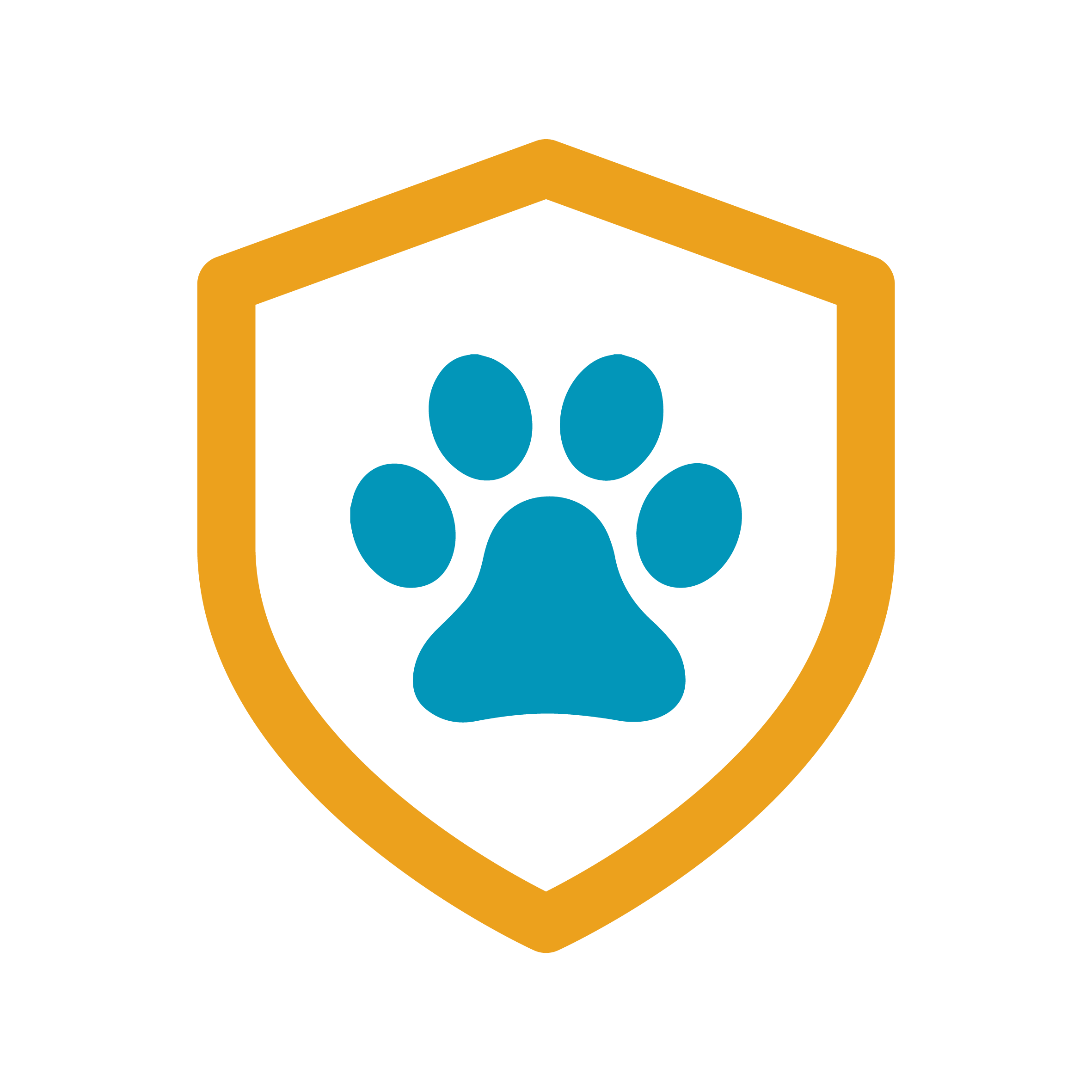 Pet insurance
