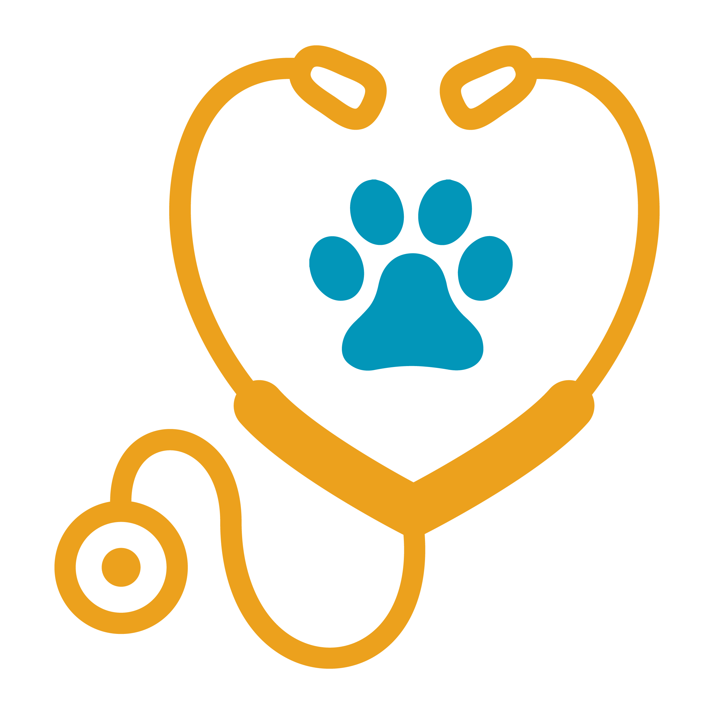 Specialist consultations and referrals
