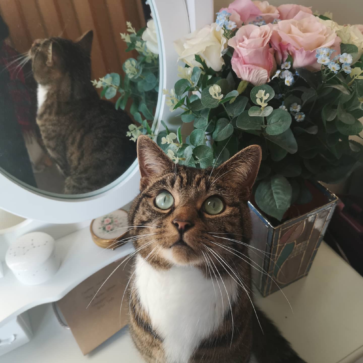 A tabby cat with green eyes looks up while sitting on a white dresser. In the background, a mirror reflects the cat and a vase of pink, white, and blue flowers. The setting is cozy and decorative.